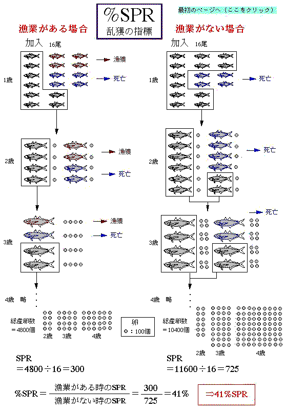 %SPR